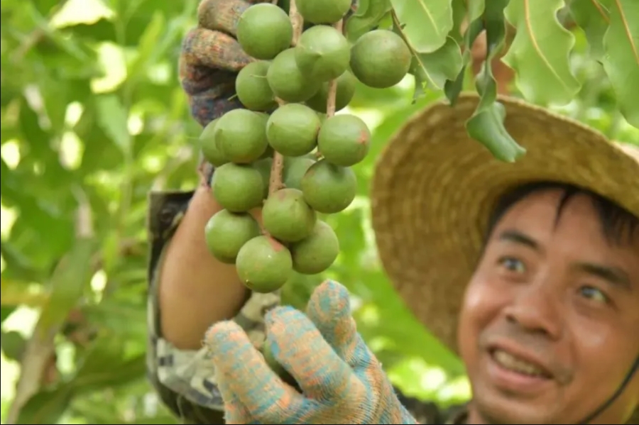 微信截图_20231124162012.png 微信截图_20231124162012.png